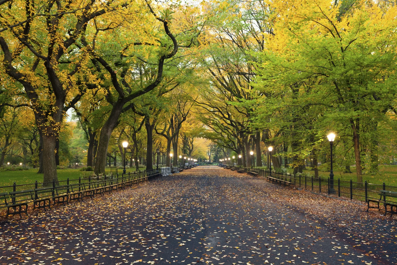 Central-Park-New-York