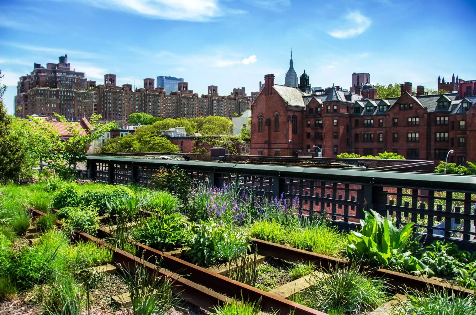 High-line-New-York