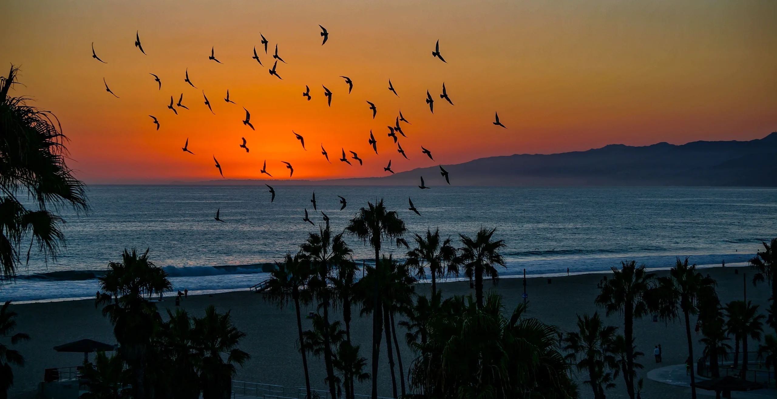 Venice Beach Sunset scaled