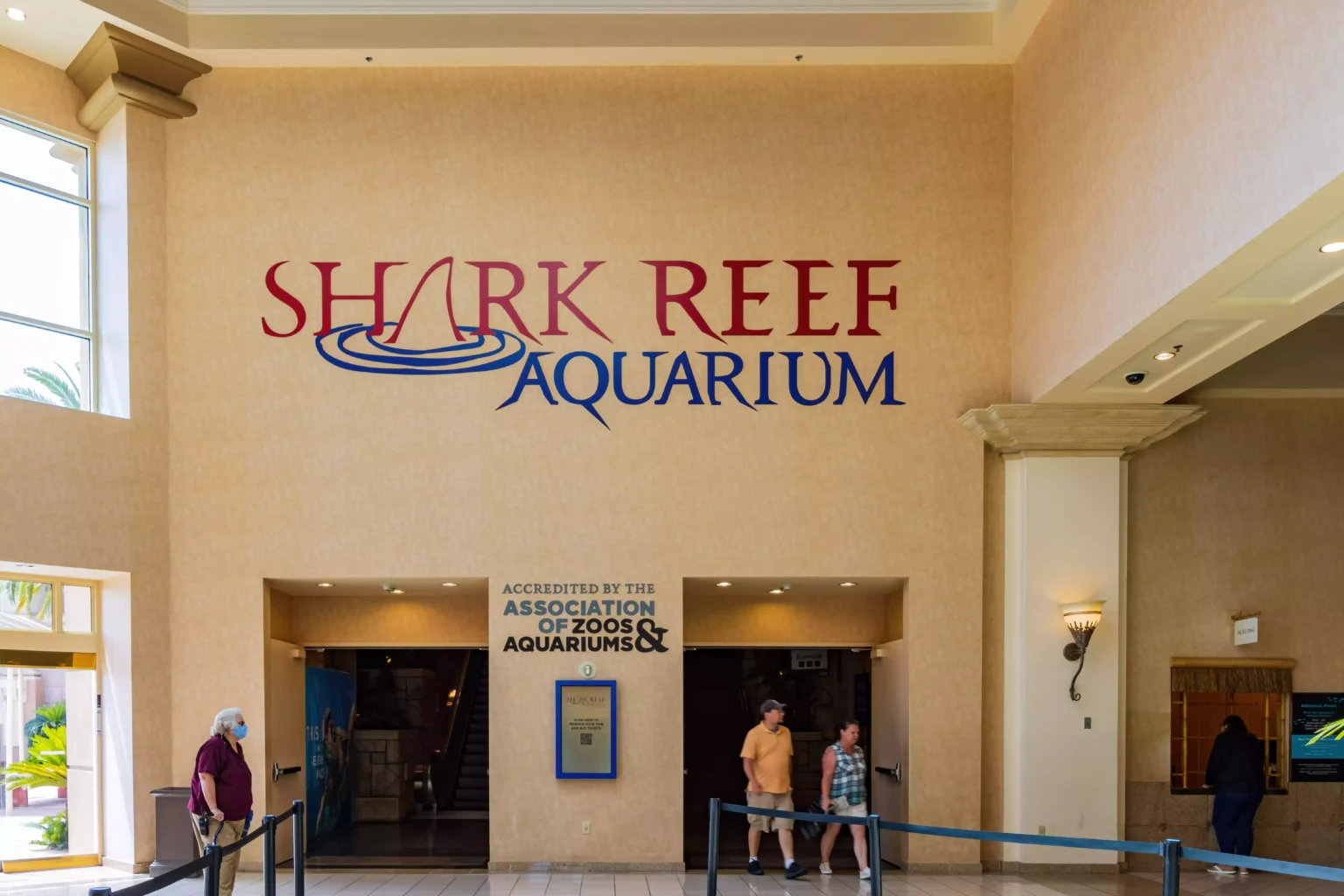 Shark-reef-Aquarium