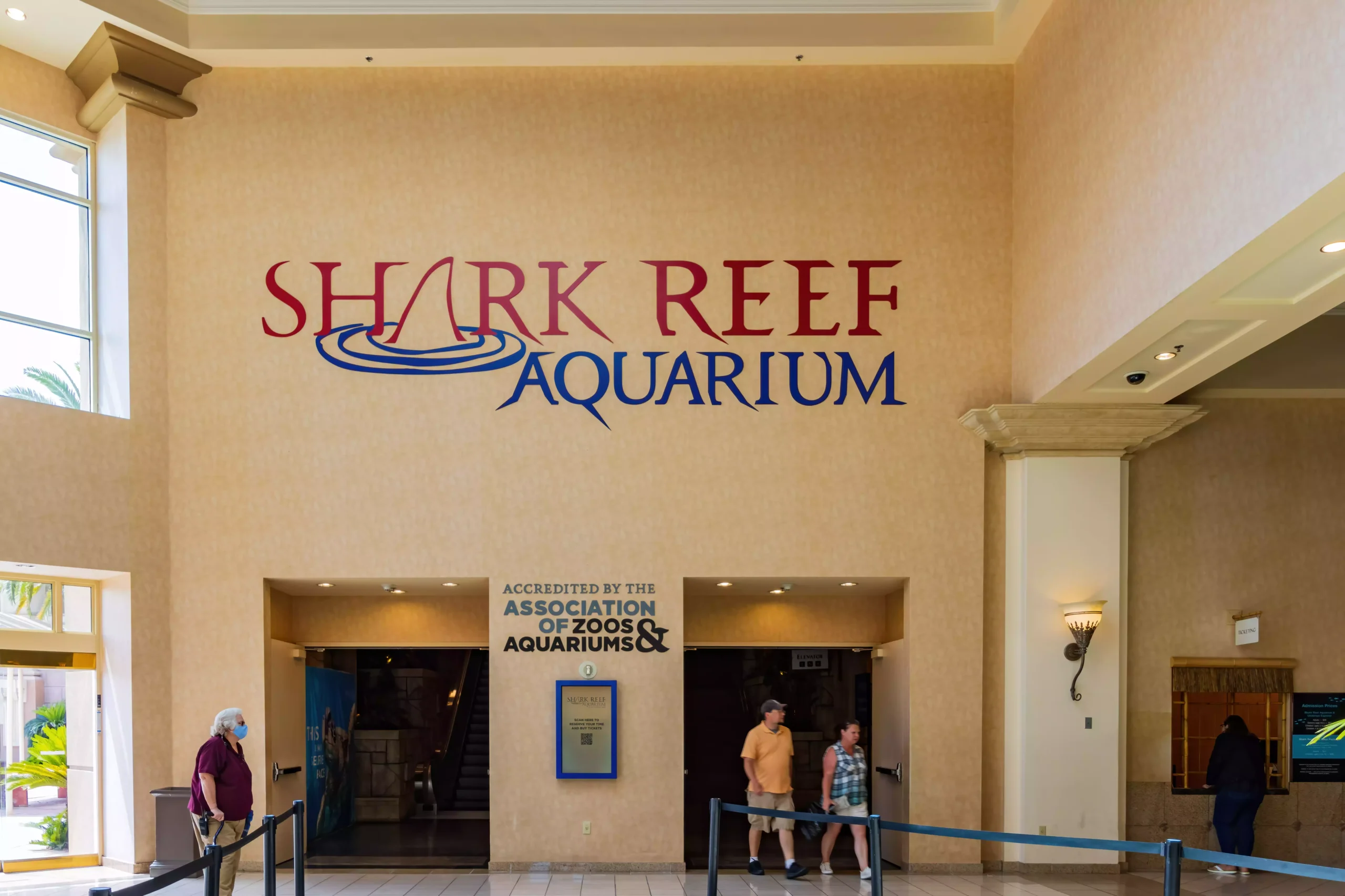 Shark reef Aquarium 2 scaled