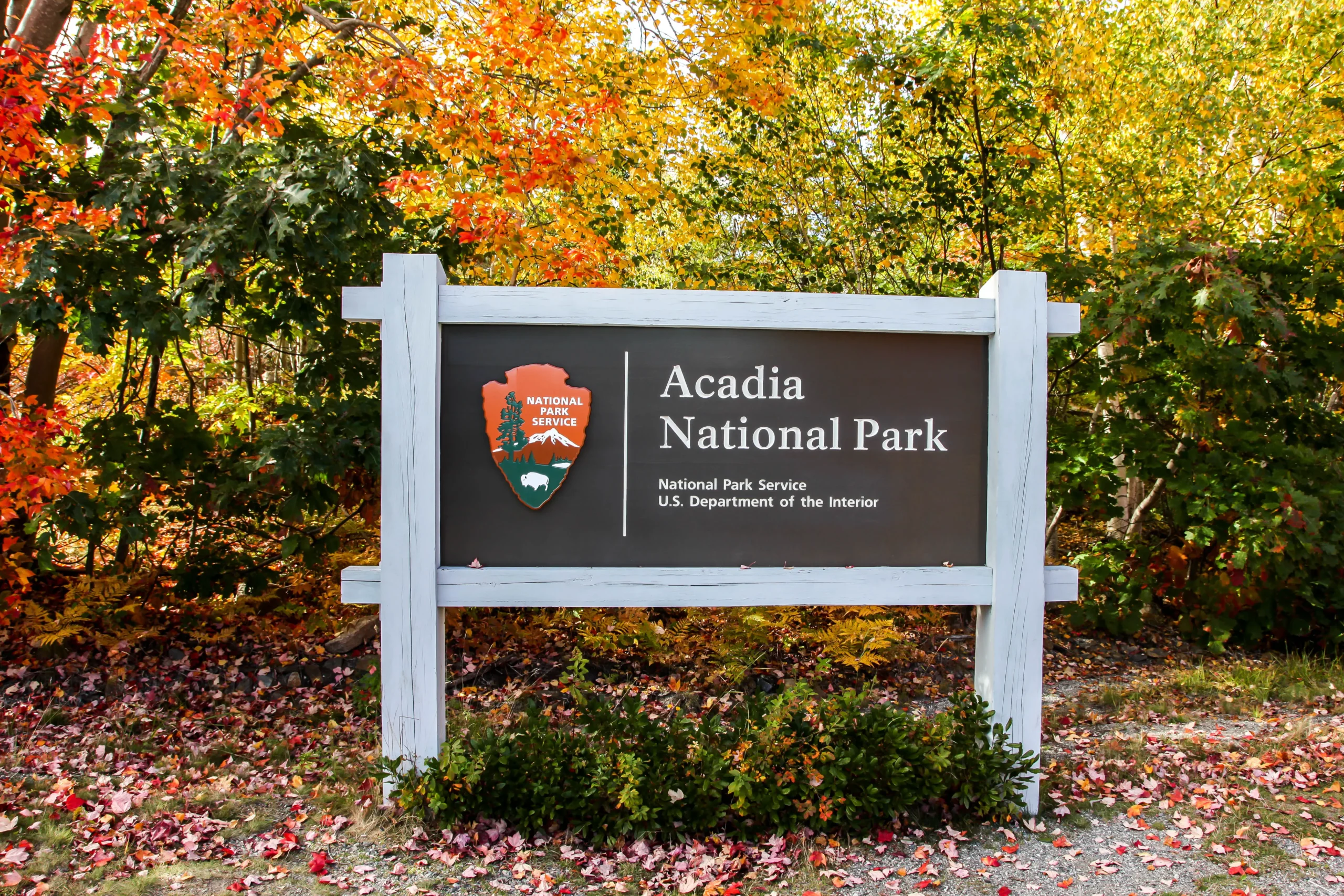 Acadia National Park 6 scaled