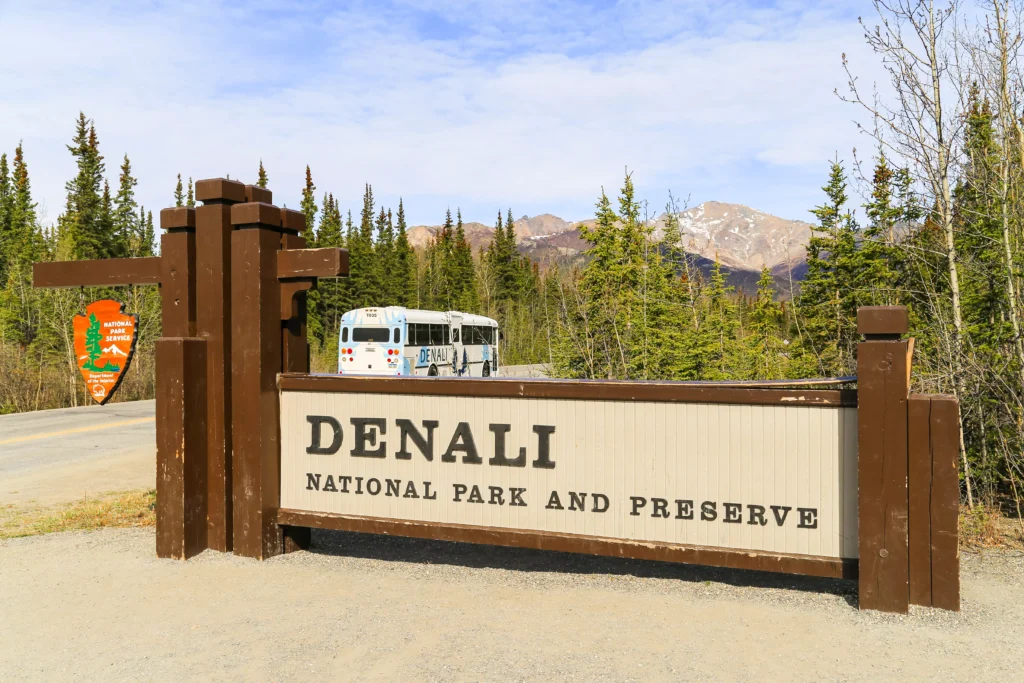 Denali National park 7