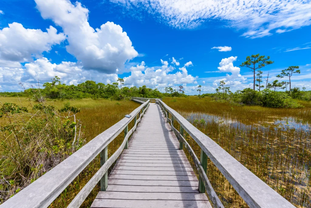 Everglades National Park