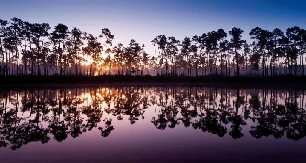 Everglades-National-Park