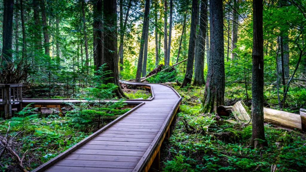 Glacier-National-Park