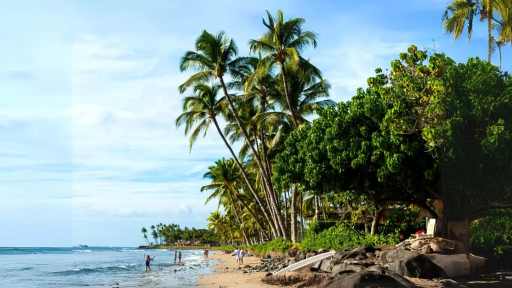 Paradise in Hawaii