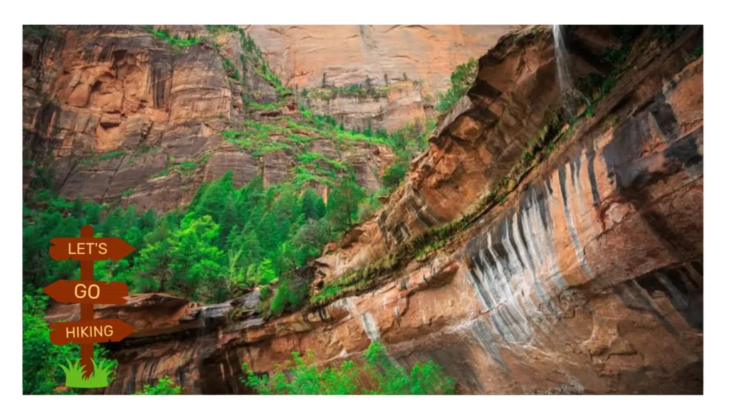 The Narrows Zion National Park