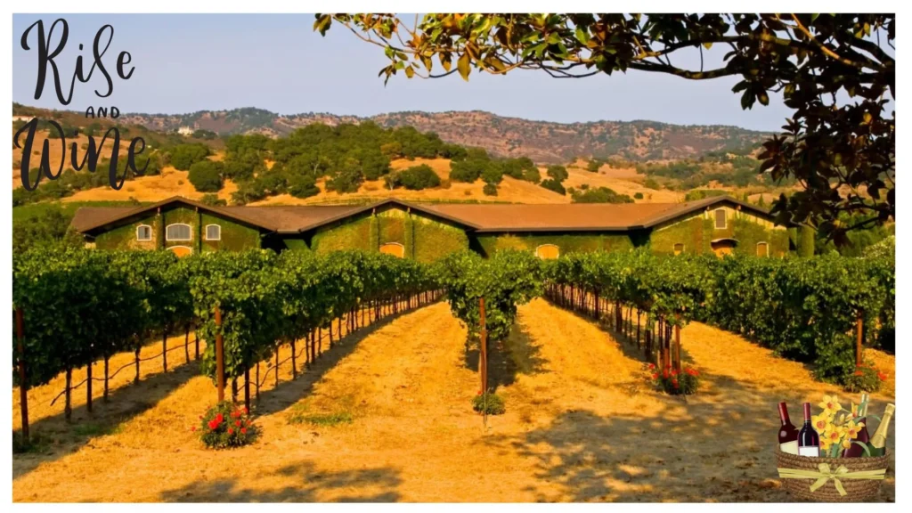 Napa Valley - wine & food tours in USA